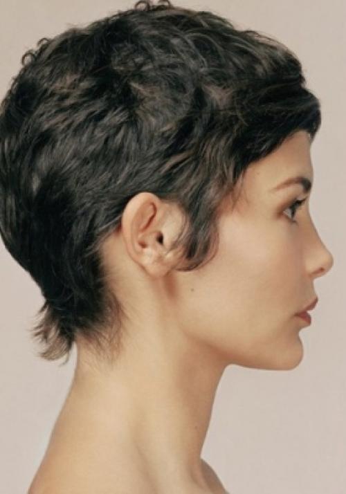 Стрижемся в домашних условиях. Как самой подстричь волосы в домашних условиях: способы и инструкция 15