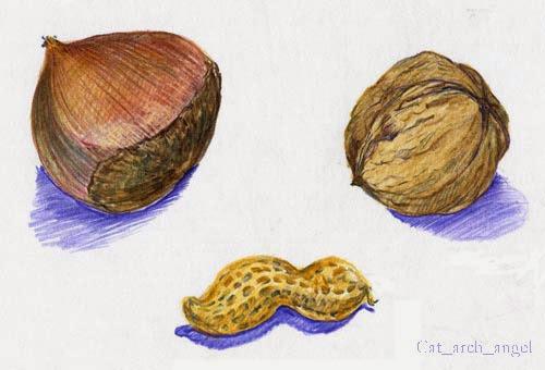 Как использовать белый карандаш для рисования. Колонка №3 - специальные цветные карандаши