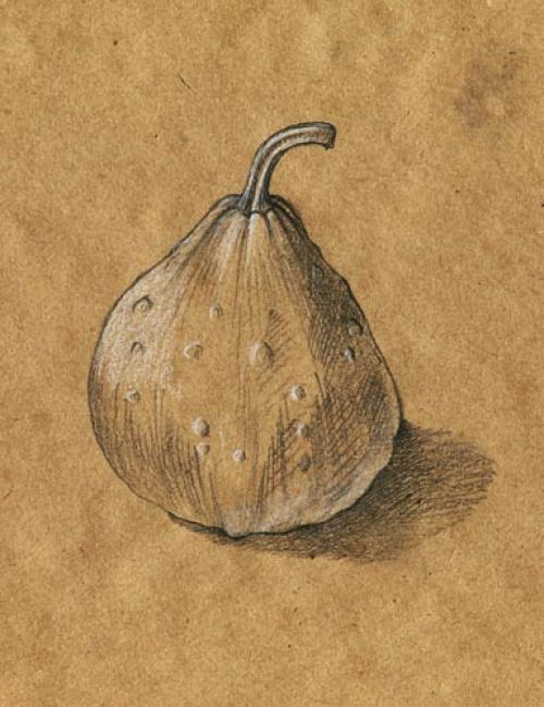 Как использовать белый карандаш для рисования. Колонка №3 - специальные цветные карандаши