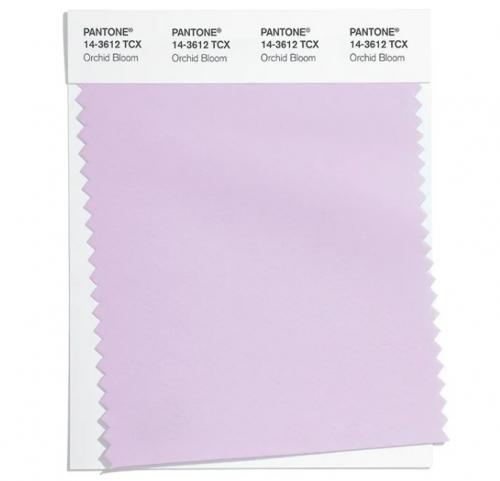 14 самых модных цветов в одежде 2022. 7 главных оттенков в одежде в 2022 году и с чем их сочетать 22