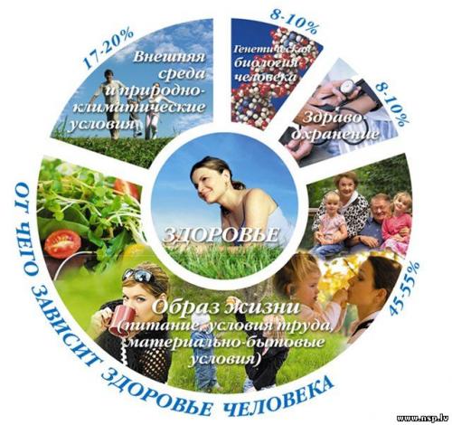 36 и 6 правил мужского здоровья: Полное руководство для сильных мужчин 36 и 6 правил мужского здоровья: Полное руководство для сильных мужчин