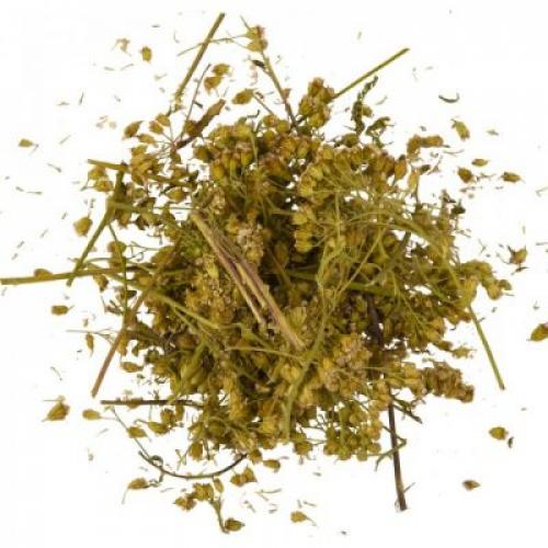 Витамин E для волос: как применять для здоровья и блеска 01