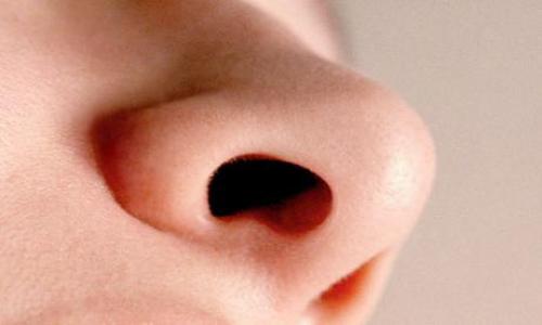 Какая прическа подойдет для маленького носа. Большой нос: каскадные стрижки 08 Какая прическа подойдет для маленького носа. Большой нос: каскадные стрижки 08