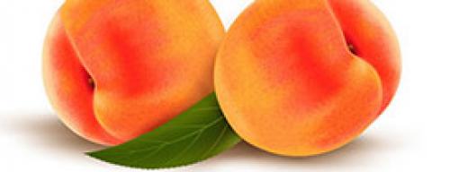 Какие основные принципы и правила следует соблюдать при создании фигуры по типу персика. Рисуем реалистичные персики в Adobe Illustrator