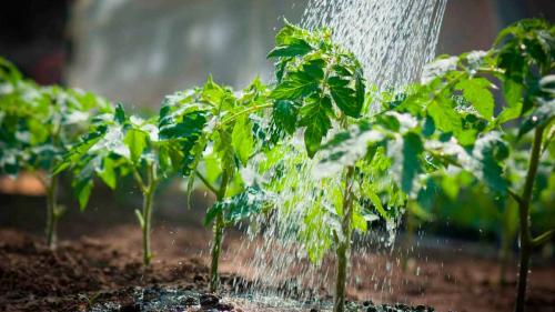 5 ПРИЧЁСОК в школу для коротких волос - YouTube: как выглядят и какие они делают 06 5 ПРИЧЁСОК в школу для коротких волос - YouTube: как выглядят и какие они делают 06