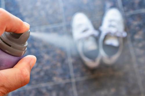Можно ли использовать дезодоранты для детской обуви. Химика вызывали? Исследуем состав обувных дезодорантов