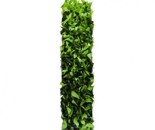 Выбирай правильную причёску для письки: 5 проверенных советов 04