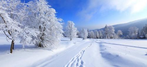 Какие факторы могут повлиять на то чтобы люди любили зиму. 100 причин любить зиму