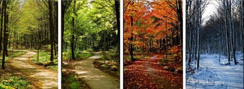 Как вы думаете, что лучше зима или осень. Что лучше: осень или зима? 02 Как вы думаете, что лучше зима или осень. Что лучше: осень или зима? 02