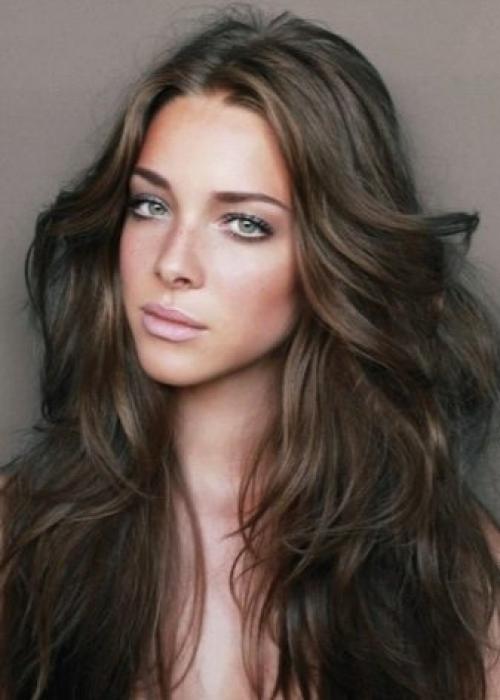 Пепельный цвет волос на темные волосы. Особенности 06 Пепельный цвет волос на темные волосы. Особенности 06