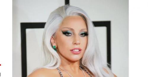 Окрашивание волос в седой цвет. Особенности цвета 16 Окрашивание волос в седой цвет. Особенности цвета 16