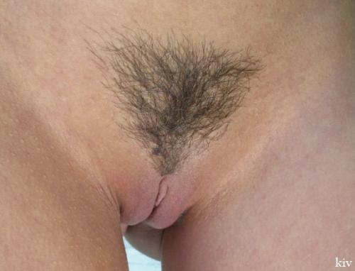 Новая коллекция интимных стрижек: как выбрать лучший вариант для себя 08