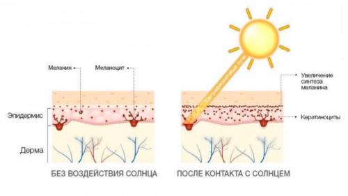 Как убрать пигментные возрастные пятна на руках. Пигментация на руках: как избавиться 01 Как убрать пигментные возрастные пятна на руках. Пигментация на руках: как избавиться 01