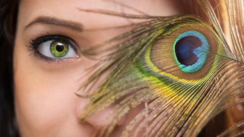 Как определить форму глаз. Характерные особенности человека от формы глаз