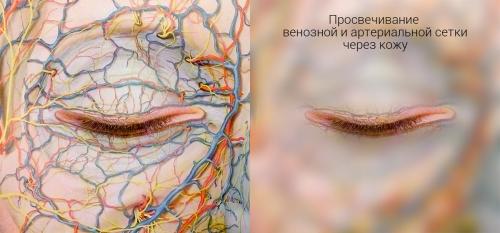 Как убрать пигментные пятна под глазами. Гиперпигментация в зоне вокруг глаз: кто виноват и что делать 04