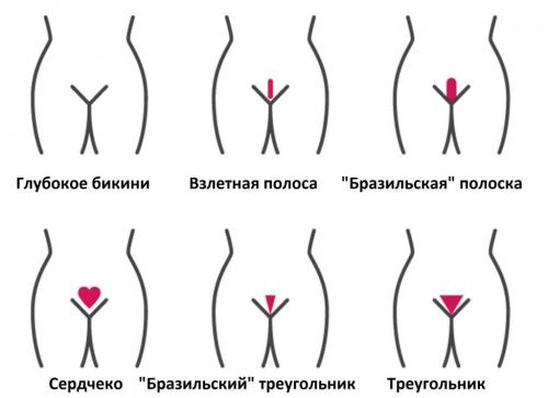Подробный гайд: как сделать интимную стрижку женской полоски 02 Подробный гайд: как сделать интимную стрижку женской полоски 02