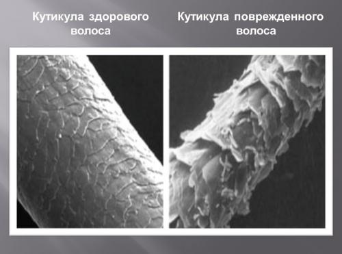 Уход за средне пористыми волосами. Что такое пористые волосы и как ухаживать за ними, чтобы утяжелить — советы профессионалов