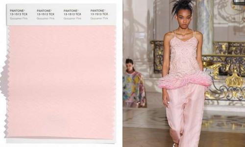 Модные цвета весна-лето 2022 по версии Пантон