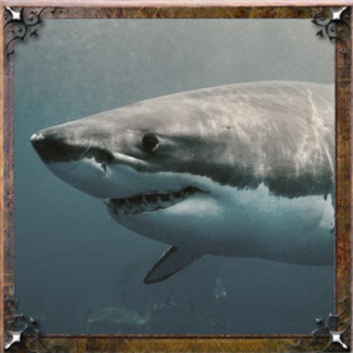 Карма имени Галина. Тайна имени Галина — характер, значение и судьба