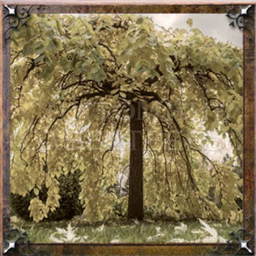 Карма имени Галина. Тайна имени Галина — характер, значение и судьба