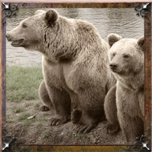 Карма имени Галина. Тайна имени Галина — характер, значение и судьба