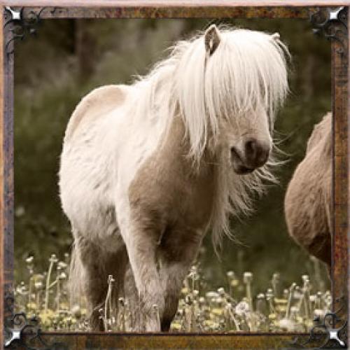 Карма имени Галина. Тайна имени Галина — характер, значение и судьба