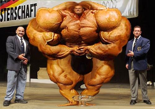 Есть ли универсальные программы тренировок, подходящие для всех. Универсальная программа тренировок