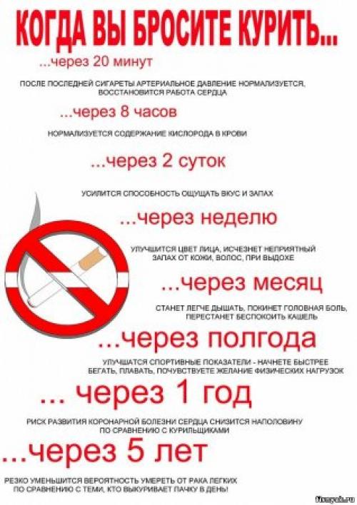 Как вредные привычки могут негативно влиять на здоровый образ жизни. Вредные привычки и их влияние на здоровье человека