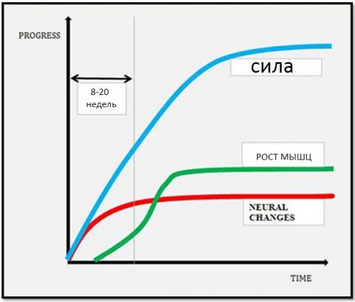 Как эффективно заниматься фитнесом дома для похудения 20 Как эффективно заниматься фитнесом дома для похудения 20