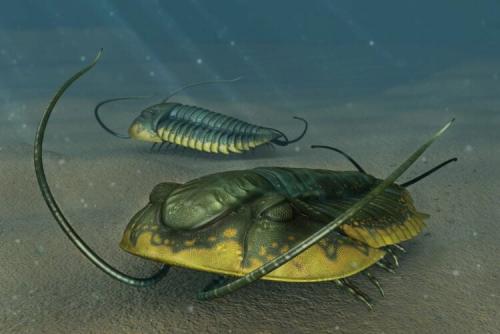 Какие исторические события повлияли на геологию российского побережья. Какие области России в древности находились на дне морей и океанов