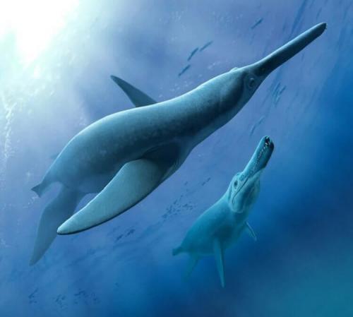 Какие исторические события повлияли на геологию российского побережья. Какие области России в древности находились на дне морей и океанов