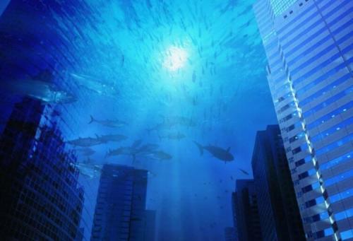 Какие исторические события повлияли на геологию российского побережья. Какие области России в древности находились на дне морей и океанов