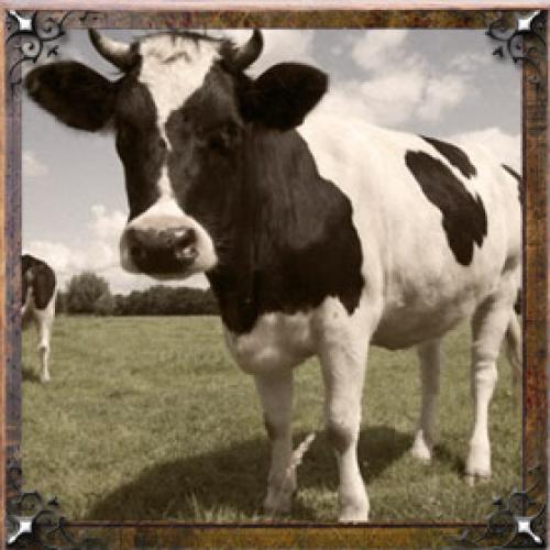 Тайна имени Алина проект. Тайна имени Алина — характер, значение и судьба