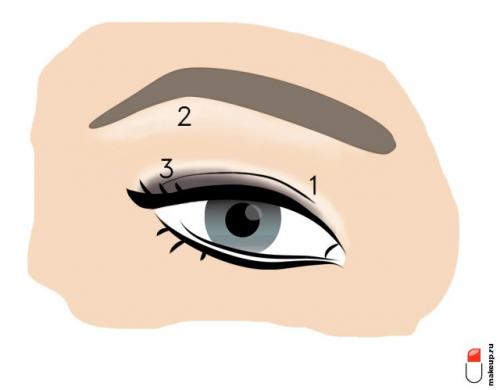 Макияж глаз пошагово для новичков. Всему научим: макияж глаз для начинающих